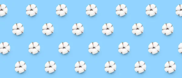 Many Cotton Flowers Light Blue Background Pattern Design — Φωτογραφία Αρχείου
