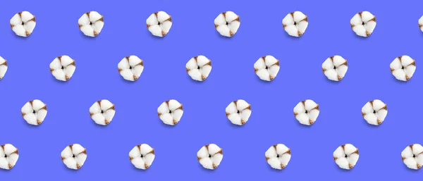 Many Cotton Flowers Blue Background Pattern Design — Photo