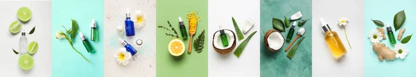 Set Natural Essential Oils Ingredients Colorful Background — 스톡 사진