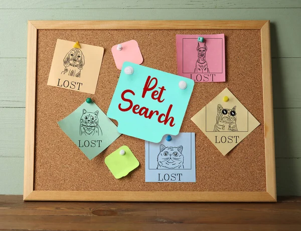 Papers Pictures Different Cats Dogs Pinned Notice Board Pet Search — Stock Photo, Image