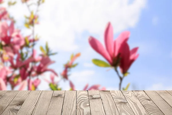 Wooden Table Blurred Blooming Tree Outdoors Spring Day —  Fotos de Stock