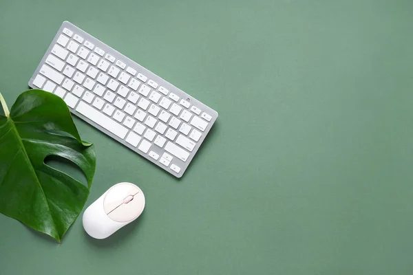 Computer keyboard with mouse and palm leaf on green background
