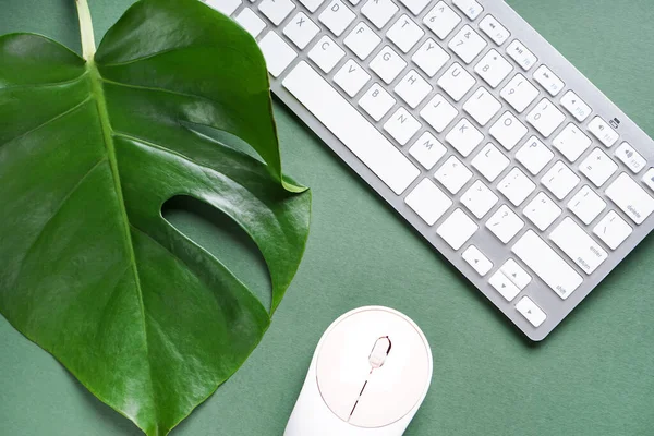 Computer Keyboard Mouse Palm Leaf Green Background — Stock Photo, Image