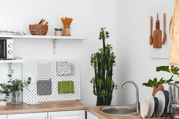 Modern kitchen with counters, pegboard and houseplants near light wall