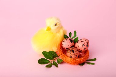 Pembe arka planda şirin sarı tavuk ve Paskalya yumurtaları.