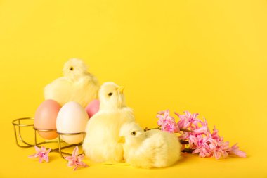 Tatlı tavuklar, bahar çiçekleri ve sarı arka planda Paskalya yumurtaları.