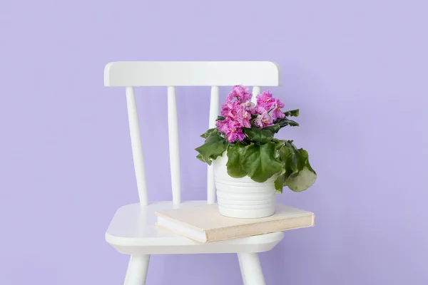 Chair Book Blooming Houseplant Violet Wall — Stock Photo, Image