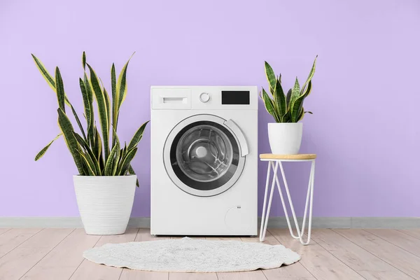 Washing Machine Houseplants Violet Wall Laundry Room — стоковое фото