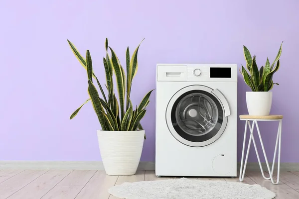 Washing machine and houseplants near violet wall in laundry room