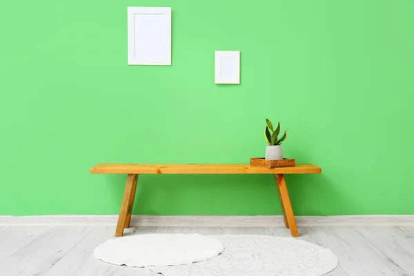 Wooden Bench Houseplant Blank Frames Hanging Green Wall — Foto Stock