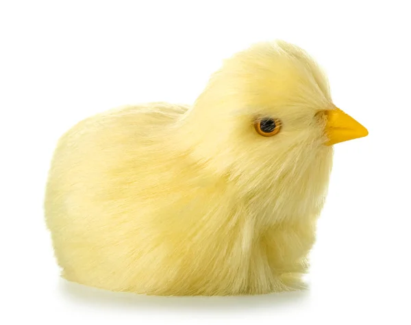 Cute Yellow Chicken Isolated White — Stock Photo, Image