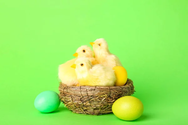 緑の背景にかわいい黄色の鶏とイースターエッグの巣 — ストック写真