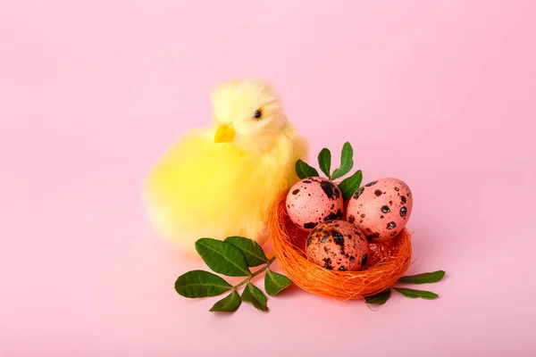 Cute Yellow Chicken Easter Eggs Nest Pink Background — Stock Photo, Image