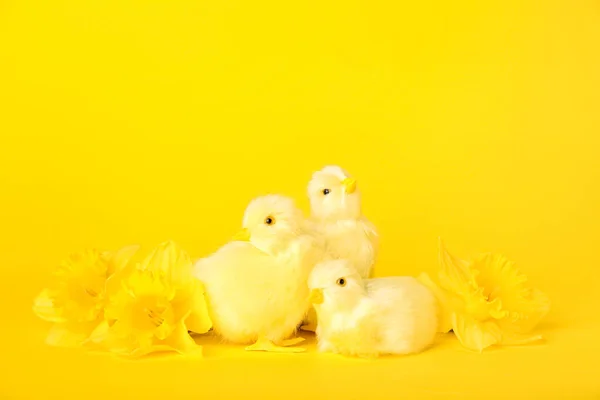 Cute chickens and flowers on yellow background