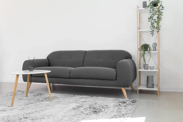 Regal Mit Zimmerpflanzen Schwarzem Sofa Und Tisch Der Nähe Einer — Stockfoto