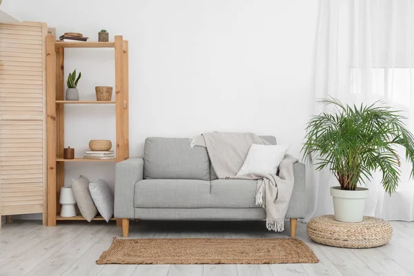 Interior Light Living Room Grey Sofa Shelving Unit Houseplants — Zdjęcie stockowe