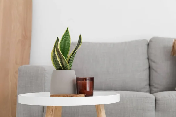 Table Houseplant Candle Light Living Room — Foto Stock