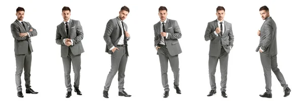 Set Handsome Young Man Elegant Suit White Background — ストック写真