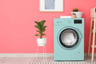 Modern çamaşır makinesi ve pembe duvarın yanındaki bitki örtüsü.