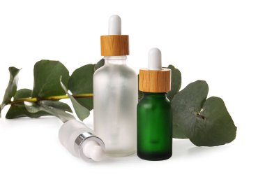 Beyaz arka planda doğal serum ve okaliptüs dalları