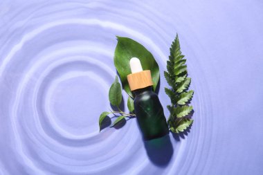 Bir şişe doğal serum ve bitki yaprakları leylak arka planda suda.