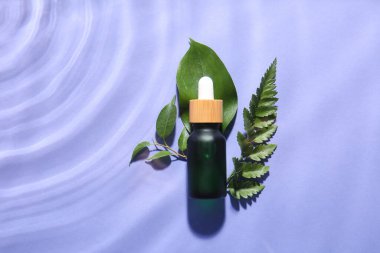 Bir şişe doğal serum ve bitki yaprakları leylak arka planda suda.