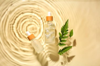 İki şişe doğal serum ve eğreltiotu yaprakları renkli arka planda suda.