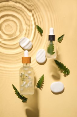 Doğal serum şişeleri, spa taşları ve eğreltiotu yaprakları renk arka planında suda.