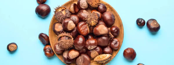 Plate Raw Chestnuts Blue Background Top View — Stock Photo, Image