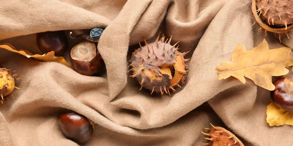 Autumn Chestnuts Leaves Fabric Top View — Stock Photo, Image