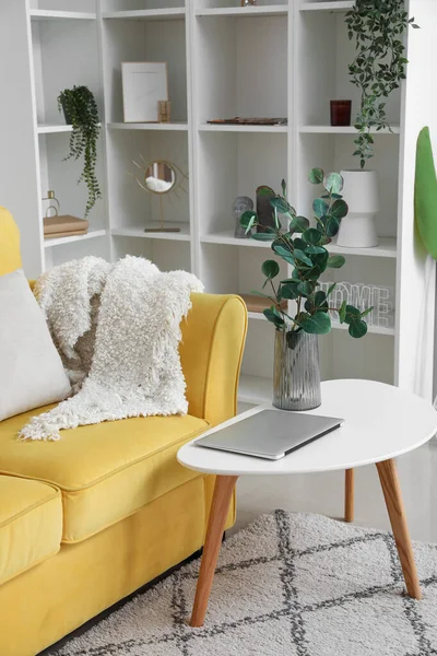 Vase Eucalyptus Branches Laptop Table Light Living Room — Stock Photo, Image