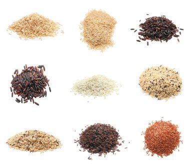 Beyaz üzerine izole edilmiş farklı pirinç türleri