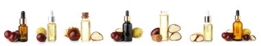 Beyaz üzerine izole edilmiş kestane yağı seti 