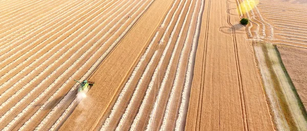 Combine Harvester Wheat Field Aerial View — Stock Photo, Image