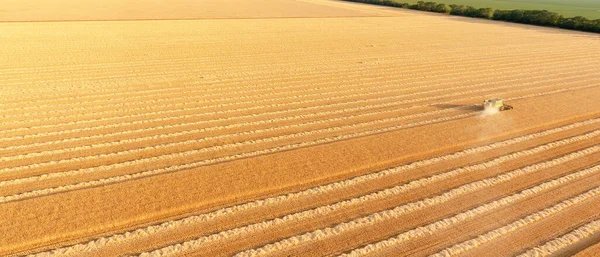 Combine Harvester Wheat Field Aerial View — Stock Photo, Image