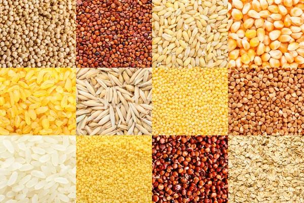 Colección Diferentes Cereales Vista Primer Plano — Foto de Stock