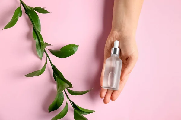 Kvinna Hand Med Flaska Naturligt Serum Och Växt Gren Rosa — Stockfoto