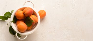 Açık arkaplan üzerinde leziz olgun kayısıların kolandırıcısı ve metin için boşluk