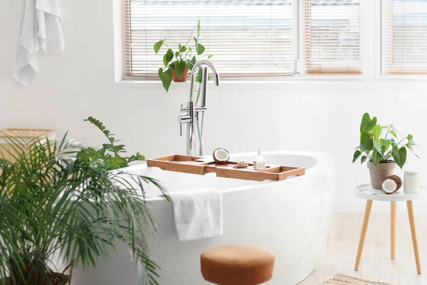 Intérieur Salle Bain Lumineuse Avec Huile Noix Coco Plantes Intérieur — Photo