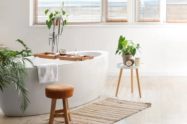 Interior Light Bathroom Coconut Oil Houseplants — Stock Photo, Image