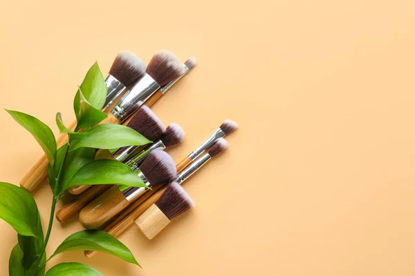 Set Makeup Brushes Plant Branch Beige Background — Stock Photo, Image