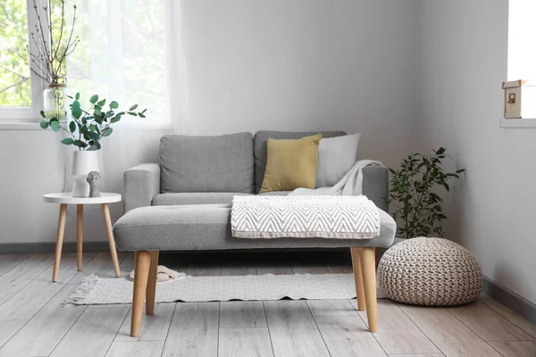 Interior Light Living Room Soft Bench Sofa Houseplants — Stock Photo, Image