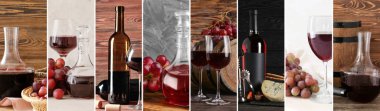 Lezzetli kırmızı şarap koleksiyonu