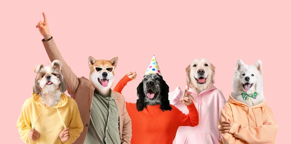 Many cute dogs with human bodies on pink background