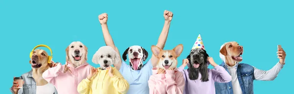 Muitos Cães Bonitos Com Corpos Humanos Fundo Azul Claro — Fotografia de Stock