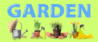 Yeşil arka planda farklı bahçe aletleri ve bitkiler