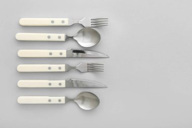 Plastik saplı, paslanmaz çelik çatal bıçak seti.