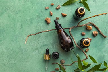 Yeşil zemin üzerinde doğal serumlar, taşlar, ağaç dalları ve bitki yaprakları.