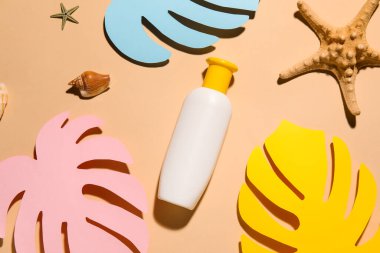 Dekoratif palmiye yapraklı güneş kremi, deniz yıldızları ve bej arka planda deniz kabuğu.