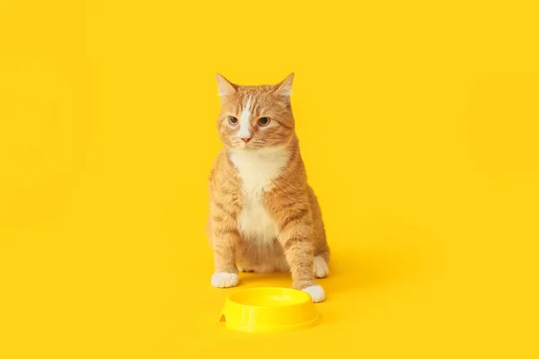 Roztomilý Kočka Blízkosti Prázdné Misky Žlutém Pozadí — Stock fotografie